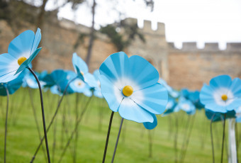 St Barnabas HospiceForget Me Nots at Lincoln Castle Launch