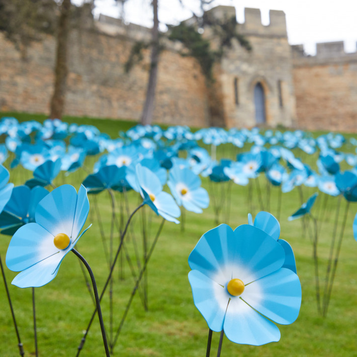 St Barnabas HospiceForget Me Nots at Lincoln Castle Launch