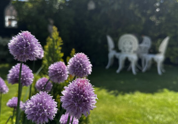 St Barnabas Charity Open Gardens Lincolnshire