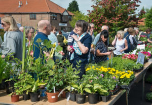 St Barnabas Hospice will be hosting their annual Cream Tea & Plant Sale