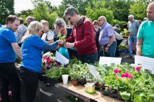 Lincoln Plant Sale 2017