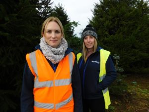Tree-cycle Volunteers