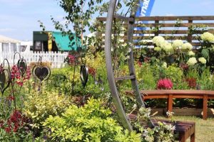 A close up of the Sensory Show Garden at the Lincolnshire Show