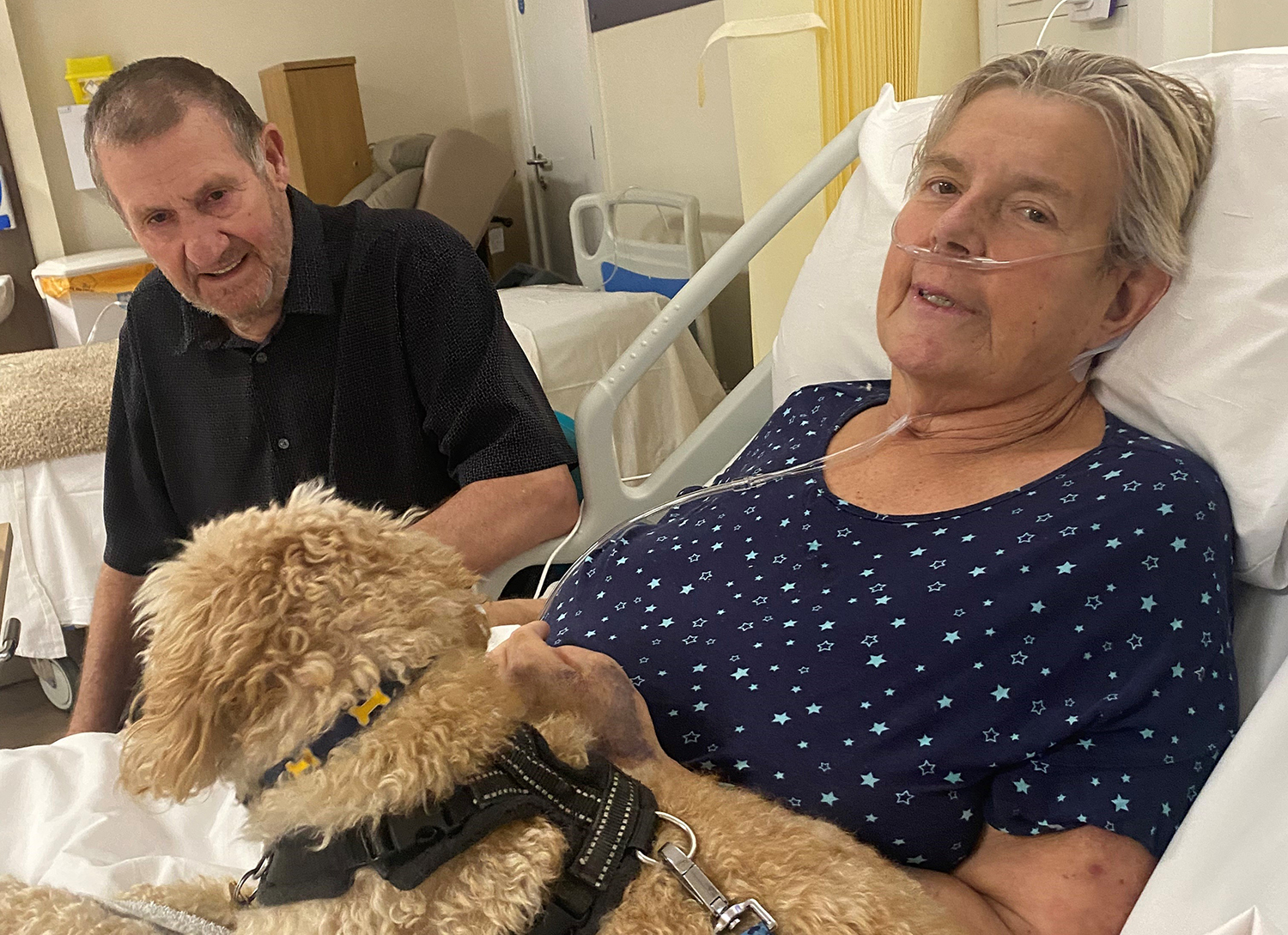 Woman in hospital bed with man by her side and brown dog on the bed