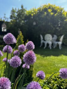 St Barnabas Charity Open Gardens Lincolnshire