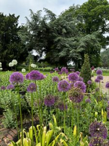Open Gardens - St Barnabas