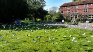 Drone photography of Feathers From Above display outside Aubourn Hall.