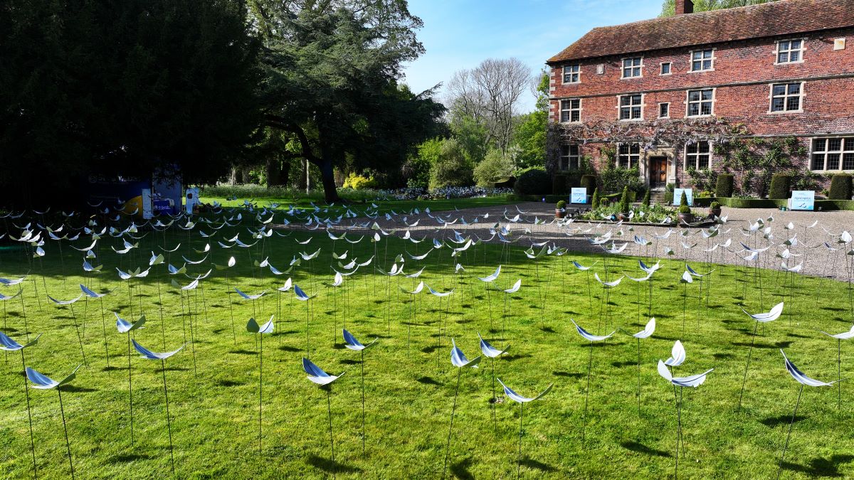 Drone photography of Feathers From Above display outside Aubourn Hall.