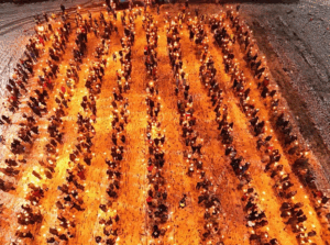 Torchlight Procession 2024