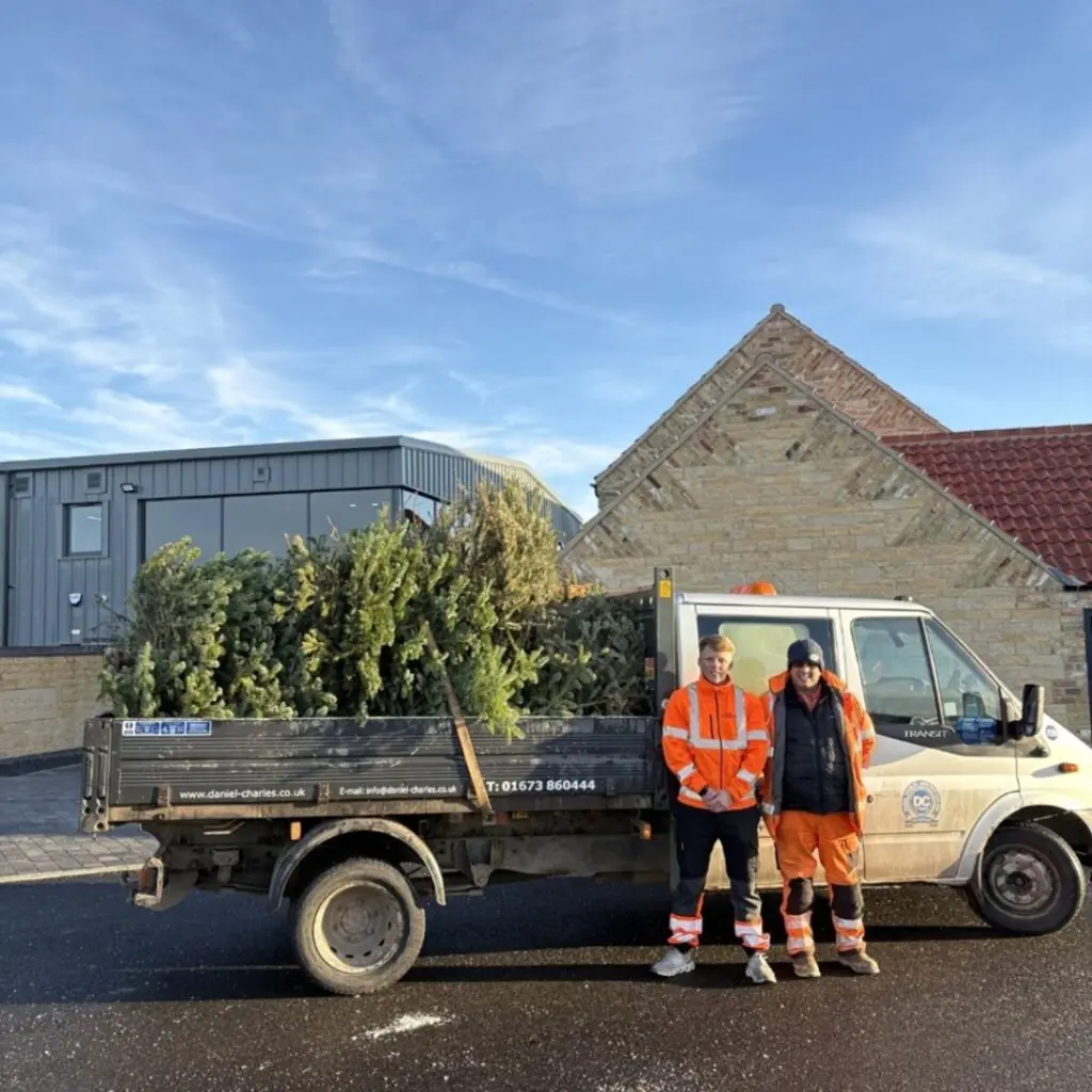 Corporate Volunteers for Treecycle