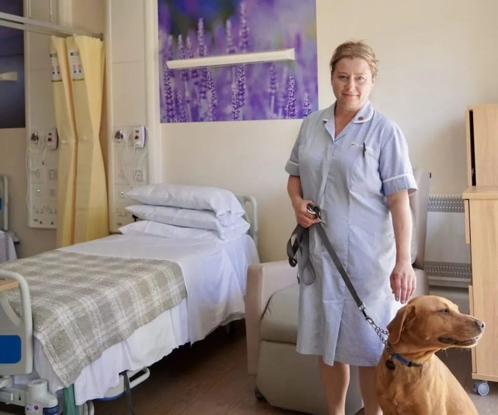 St Barnabas Inpatient Unit Bed with Nurse and Therapy Dog