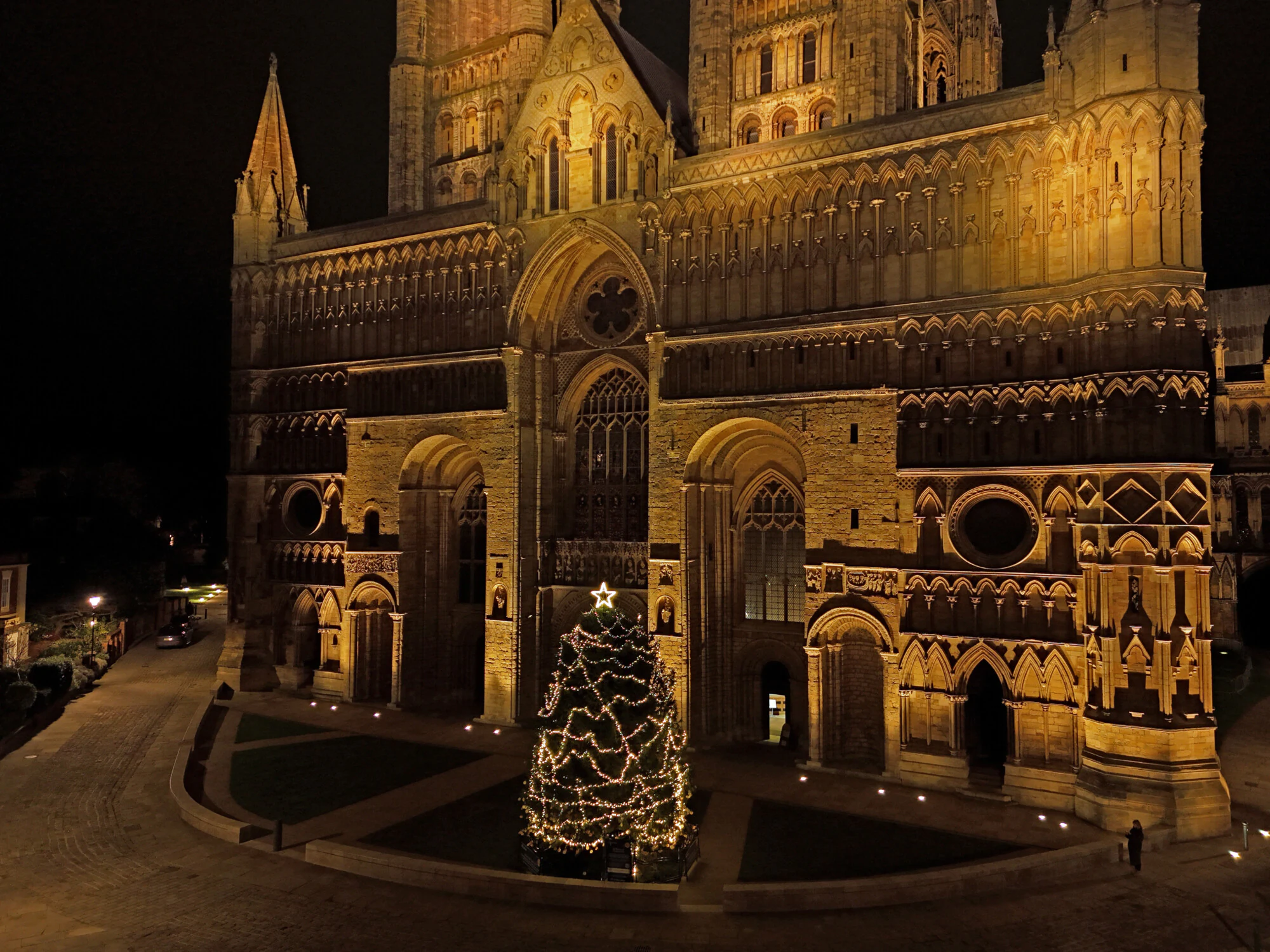 St Barnabas Tree of Life at Lincoln Cathedral - Light up a Life Appeal